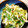 三児のママみさきんぐ's cooksnap of when they made 水菜としめじのさっぱりだし和え.