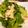 クックJNAJUS☆'s cooksnap of when they made 菜の花と鶏ささみの梅和え.
