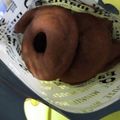 ジミナの嫁's cooksnap of when they made 簡単！豆腐とHMで焼きドーナツ.