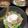 2児ママみきてぃ's cooksnap of when they made すき家の人気メニュー　鶏そぼろ丼♪.