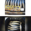 おにぎーり's cooksnap of when they made エアーフライヤーでししゃも焼き.