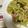 ぐりtoぐら's cooksnap of when they made キャベツとウインナーの白だし和風パスタ.