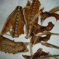 玻瑠佳☆Haruka's cooksnap of when they made 鯵の骨せんべい.