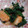 ケロリーにゅ's cooksnap of when they made 鮭とほうれん草のソテー.