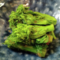 ぷらむ♪'s cooksnap of when they made レンジで1分半！菜の花のからし和え.