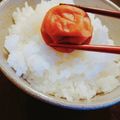 みゆ☆ちゃん's cooksnap of when they made 簡単あっさりハチミツ梅干し.