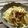 cookpading's cooksnap of when they made きのこ・きのこのバター醤油パスタ.