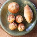みるく茶's cooksnap of when they made クランベリー＆黒ゴマ　ミルクロールパン.