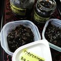 ひっこ's cooksnap of when they made ワカメの佃煮 岩のり風.