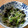 こうたろうのお母さん's cooksnap of when they made 本当に美味しい！小松菜とささみのナムル.