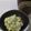 クック8MD8PO☆'s cooksnap of when they made ☆アボカドとえびのわさびマヨ和え.