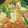 xyzクック's cooksnap of when they made トマト、卵、ほうれん草のごま油炒め.