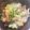 クックZ5BN5J☆'s cooksnap of when they made 漁協でも販売中♪麻子のかきゴロゴロ弁当.