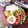 ☆たこぷー☆'s cooksnap of when they made 鶏もも肉と蓮根の甘辛揚げ♪♪.