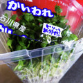ひっこ's cooksnap of when they made 長持ち！かいわれ大根の冷蔵保存方法.
