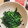 ★ぴよぴよ501★'s cooksnap of when they made お弁当にも♪ほうれん草のふりかけ和え.