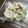 にーなんちぇ's cooksnap of when they made キュウリと魚肉ソーセージのマヨ和え.