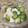 tkb30ring's cooksnap of when they made 長いもと明太子の和え物.