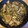 ヴィーナスけい's cooksnap of when they made 舞茸と海老のアヒージョ.
