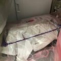 見習い猫さん's cooksnap of when they made 新鮮長持ち♡ミニトマトの長期保存.