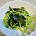 mmmugi's cooksnap of when they made 豆苗ともやしのナムル☆.