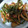 ローズマリー1109's cooksnap of when they made おうち居酒屋★ちくわとピーマンであと一品.