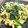 リンリン☆☆☆'s cooksnap of when they made ☆ほうれん草と卵のオイスター炒め★.