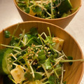 りりクック's cooksnap of when they made 止まらない！胡瓜とカイワレのおかか和え.