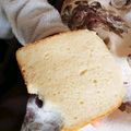 えりきゃんでぃ's cooksnap of when they made HBで　早焼き　りんごパン!!.