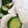 ちゃーりーWKY's cooksnap of when they made 簡単かぶきゅうりの浅漬け.