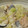 ゆうかれ's cooksnap of when they made ☆白菜と塩鮭とエリンギのクリーム煮☆.