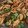 kurumi0122's cooksnap of when they made 豚肉とナスの味噌炒め.