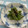 ピンクのたまご's cooksnap of when they made 簡単！万願寺とうがらしの生姜醤油炒め.