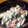 Aminor☆'s cooksnap of when they made いんげんのトマタマサラダ.