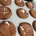 クックVNVEEC☆'s cooksnap of when they made HMで作れる！カントリーマアム風クッキー.
