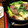 ダッフィーニーうに's cooksnap of when they made 今半風すき焼きの割下.
