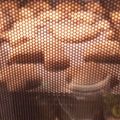 boe3's cooksnap of when they made 乳製品、卵なし！簡単メープルクッキー.
