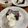 はらぺこまさる's cooksnap of when they made 簡単★濃厚半生ガトーショコラ.