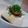 おんかめ's cooksnap of when they made ネギたっぷりお豆腐サラダ.