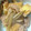 xyzクック's cooksnap of when they made 豚こまとごぼう、椎茸のしぐれ煮風.