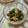 なおミール's cooksnap of when they made ツンっとウマっ♥春菊とツナのからし和え.