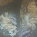 クック6W607K☆'s cooksnap of when they made 舞茸と卵の澄まし汁❀.
