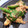 Mdp00en's cooksnap of when they made さばの味噌煮缶とししとうの和え物.