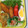 クックZD0Y8X☆'s cooksnap of when they made 夏！ピーマンとカニカマだけのマヨきんぴら.