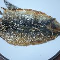 クックCQGL1C☆'s cooksnap of when they made いわしのごま蒲焼き【作り置き】.