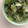 さゆゆゆこ's cooksnap of when they made 簡単☆青梗菜と春雨の中華スープ.