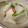 mcc5646's cooksnap of when they made らっきょ漬けの後の 大根甘酢漬け.