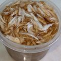 プルンバゴ's cooksnap of when they made ゴボウささがきの保存.