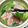 いなばっくす☆'s cooksnap of when they made レタスと豚肉の簡単しゃぶしゃぶ鍋★.