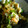 Sukeko55's cooksnap of when they made だし★ケミコだし.